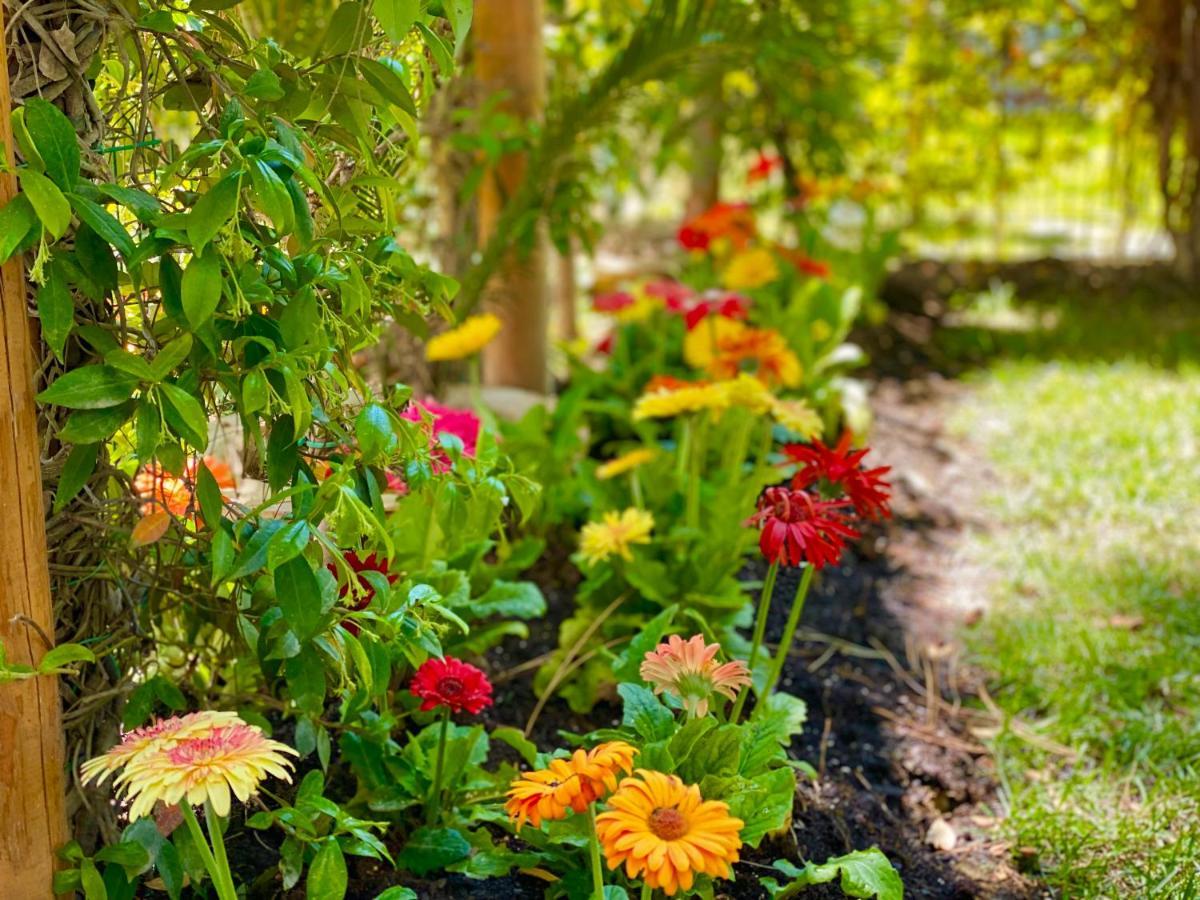 Beach Garden Paradise Дуррес Екстер'єр фото